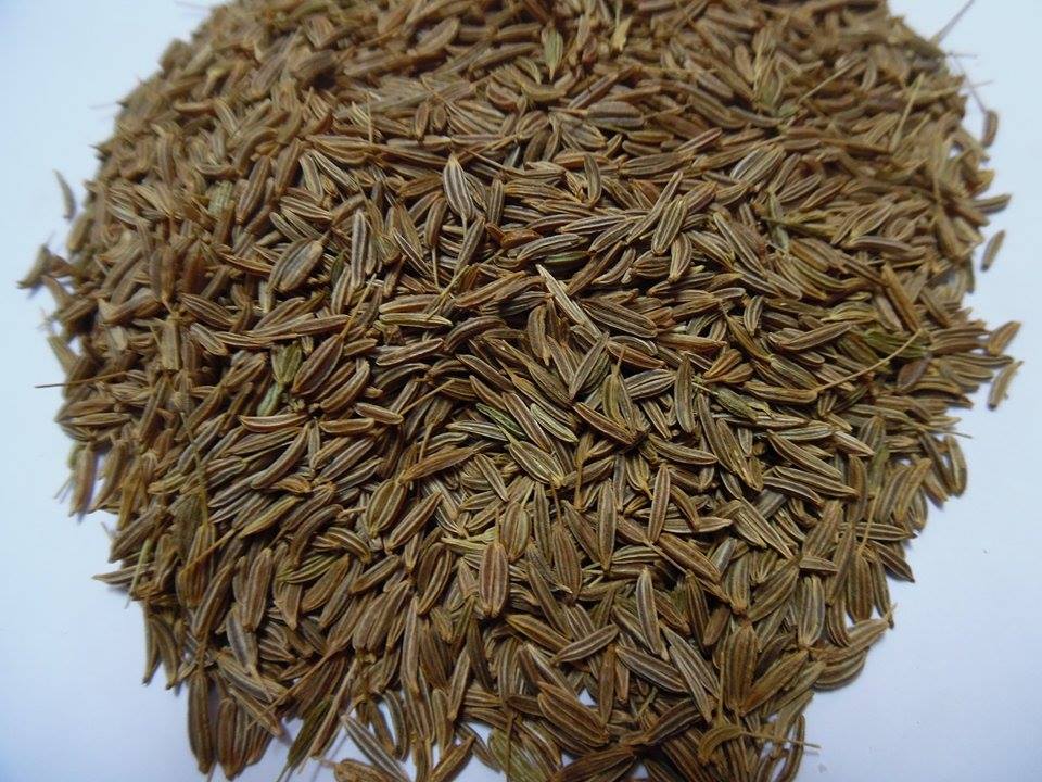 Caraway