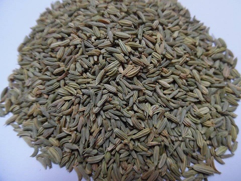 Fennel-seeds