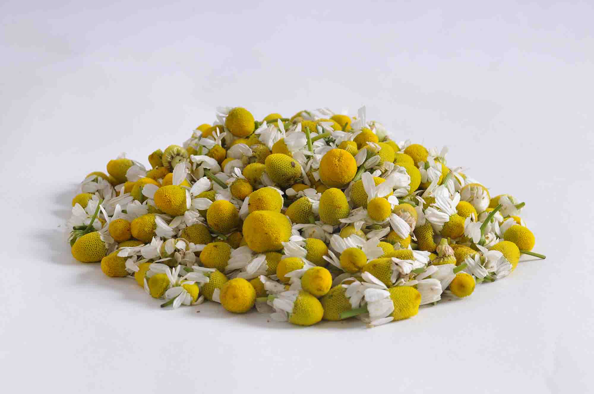 Chamomile