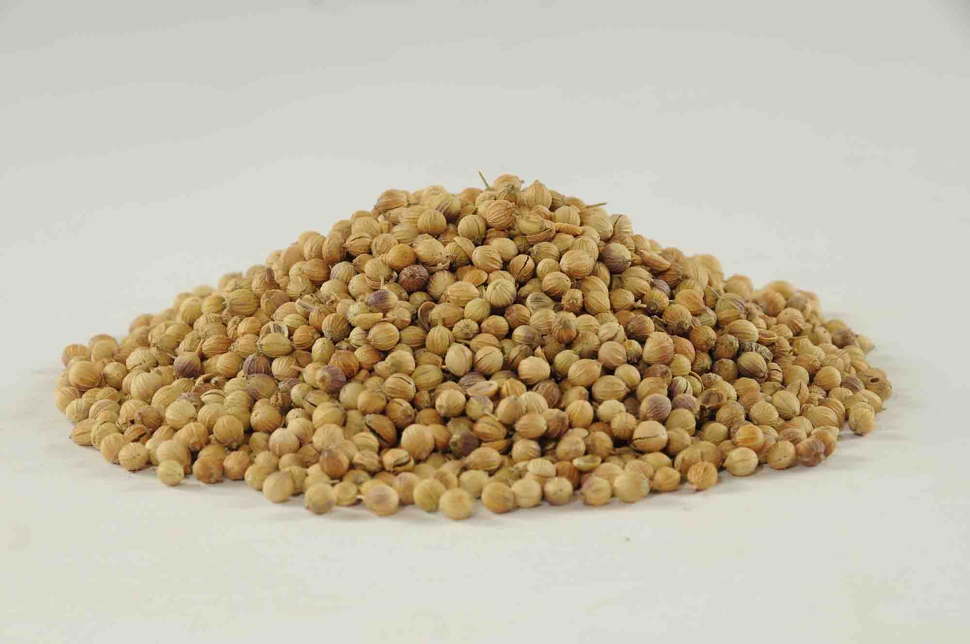 Coriander